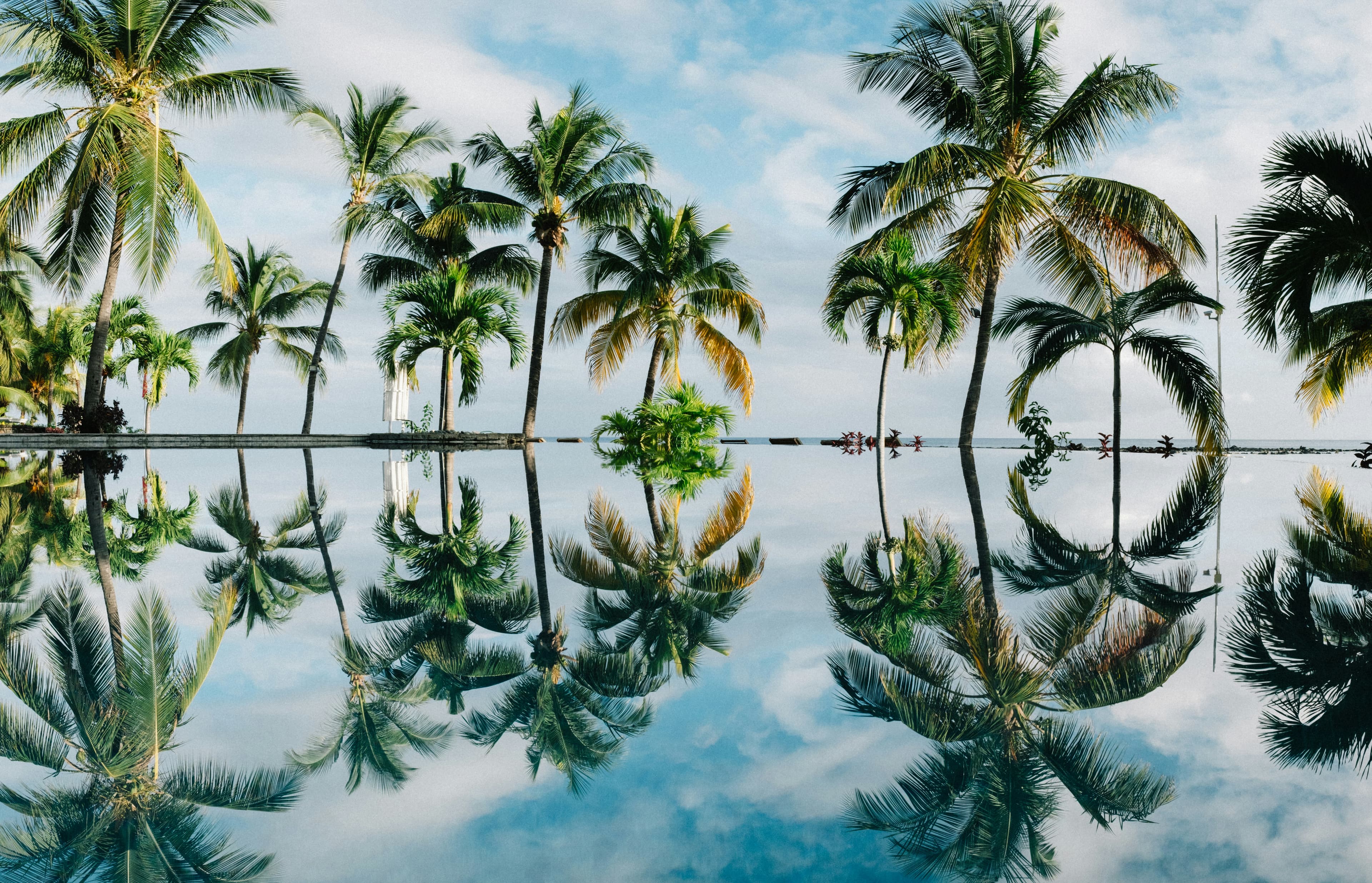 Explore the World with